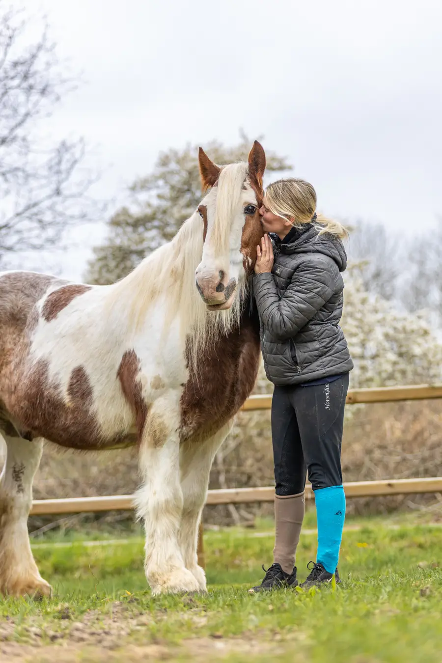 Liefdevolle foto met paard en vrijwilliger.
