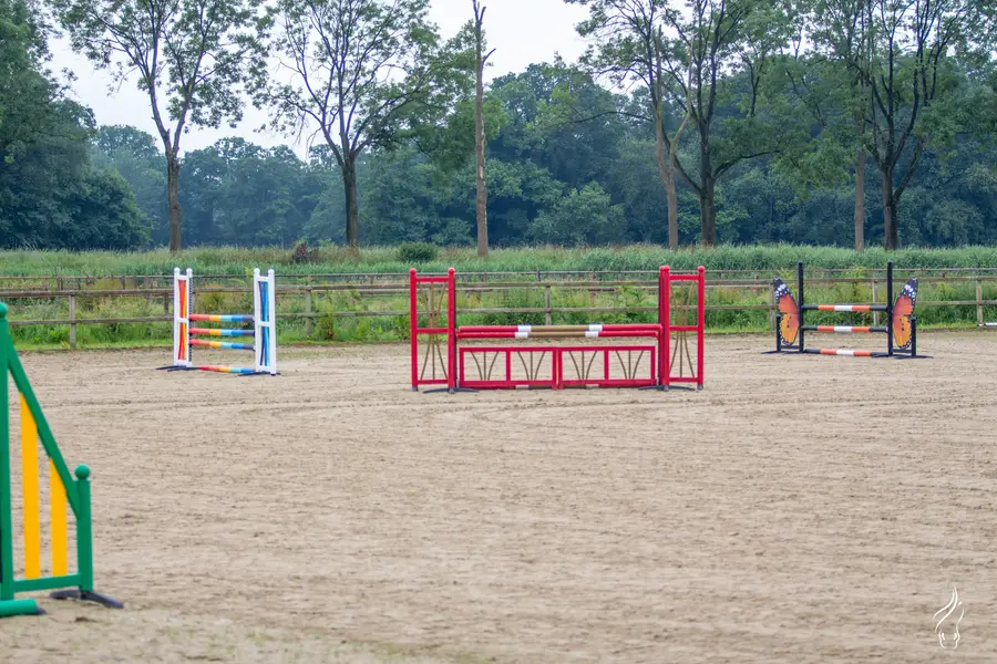Een ruime buitenrijbak met verschillende kleurrijke springhindernissen staat klaar voor een springtraining of wedstrijd. Rondom de rijbak staan houten omheiningen en hoge bomen, waardoor de locatie een rustige en groene uitstraling heeft.