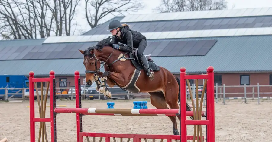Een ruiter springt met een bruin paard over een rode hindernis op een buitenrijbaan. Het paard is volledig in de lucht tijdens de sprong, terwijl de ruiter in een voorwaartse houding boven het zadel hangt. Op de achtergrond zijn stallen, een gebouw met zonnepanelen en de omheinde rijbaan te zien.