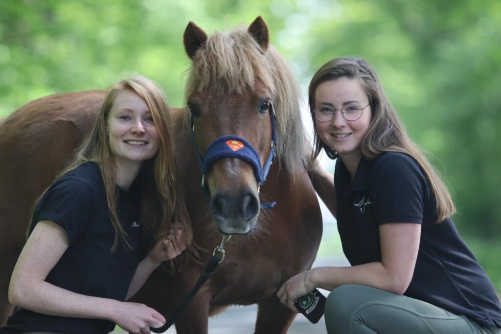 stoppen met Paard Zoekt Baas ?!