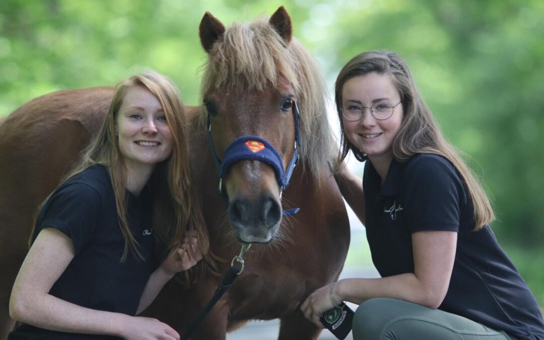 stoppen met Paard Zoekt Baas ?!